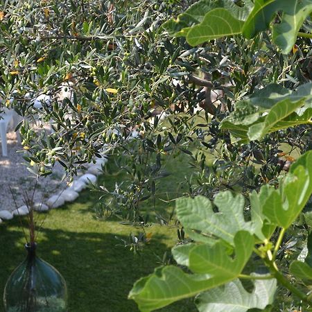 Giardinotto Casa Vacanze Altino  Extérieur photo