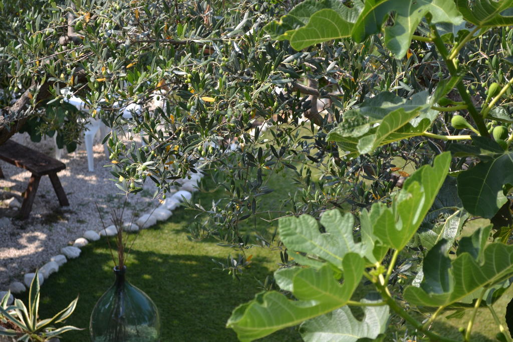 Giardinotto Casa Vacanze Altino  Extérieur photo